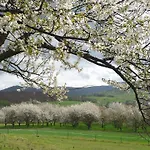 Dorf Gut Zur Warte 3* Witzenhausen
