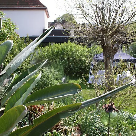 Dorf Gut Zur Warte 3* Witzenhausen