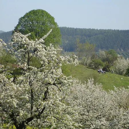 Dorf Gut Zur Warte 3*