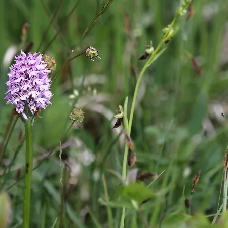 Dorf Gut Zur Warte 3* Witzenhausen
