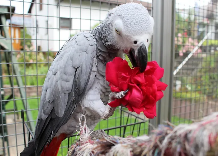 Dorf Gut Zur Warte Hotel Witzenhausen