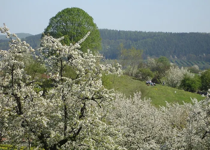 Dorf Gut Zur Warte 3*