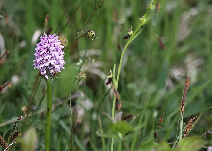 Dorf Gut Zur Warte 3* Witzenhausen