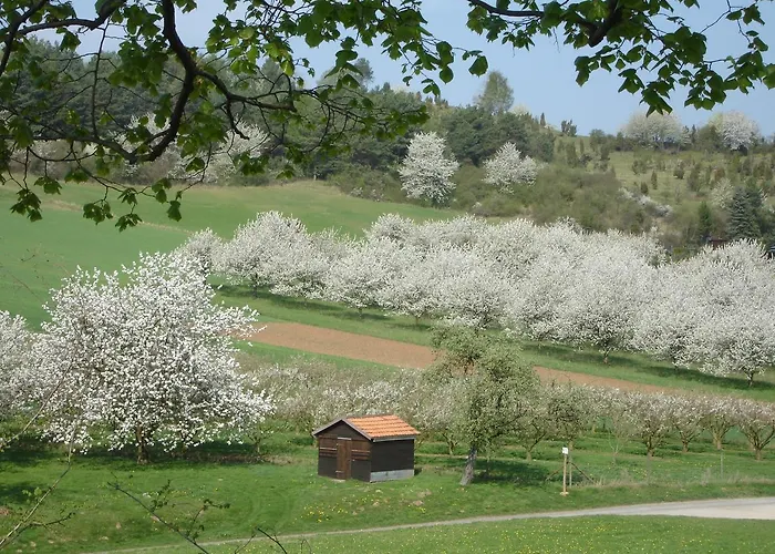 Dorf Gut Zur Warte 3*