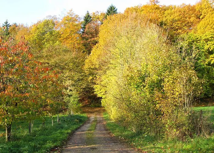 Dorf Gut Zur Warte Hotel