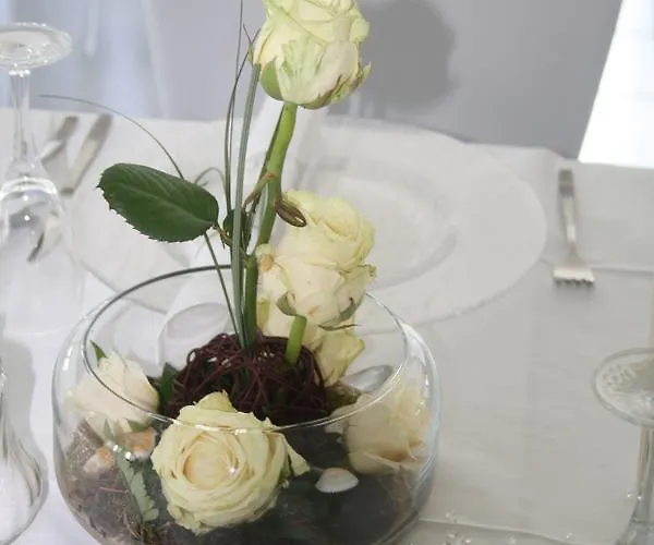 Hotel Dorf Gut Zur Warte Witzenhausen